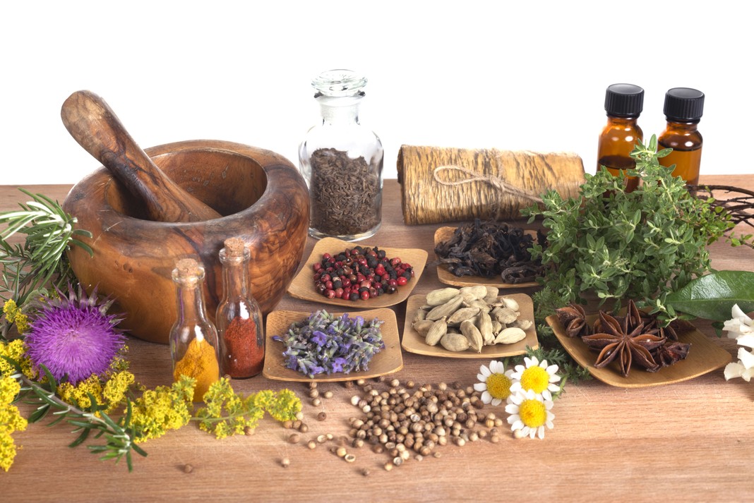 The Plant-Based Metabolic Reset: Fueling Your Body for 2026